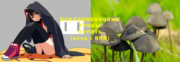 сатива Бугульма