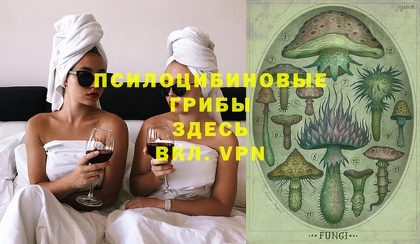 сатива Бугульма