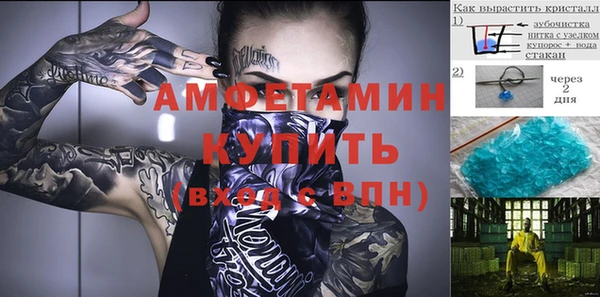 сатива Бугульма