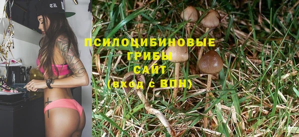 сатива Бугульма